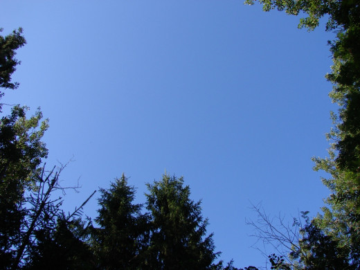 26945 (a): :1024x768